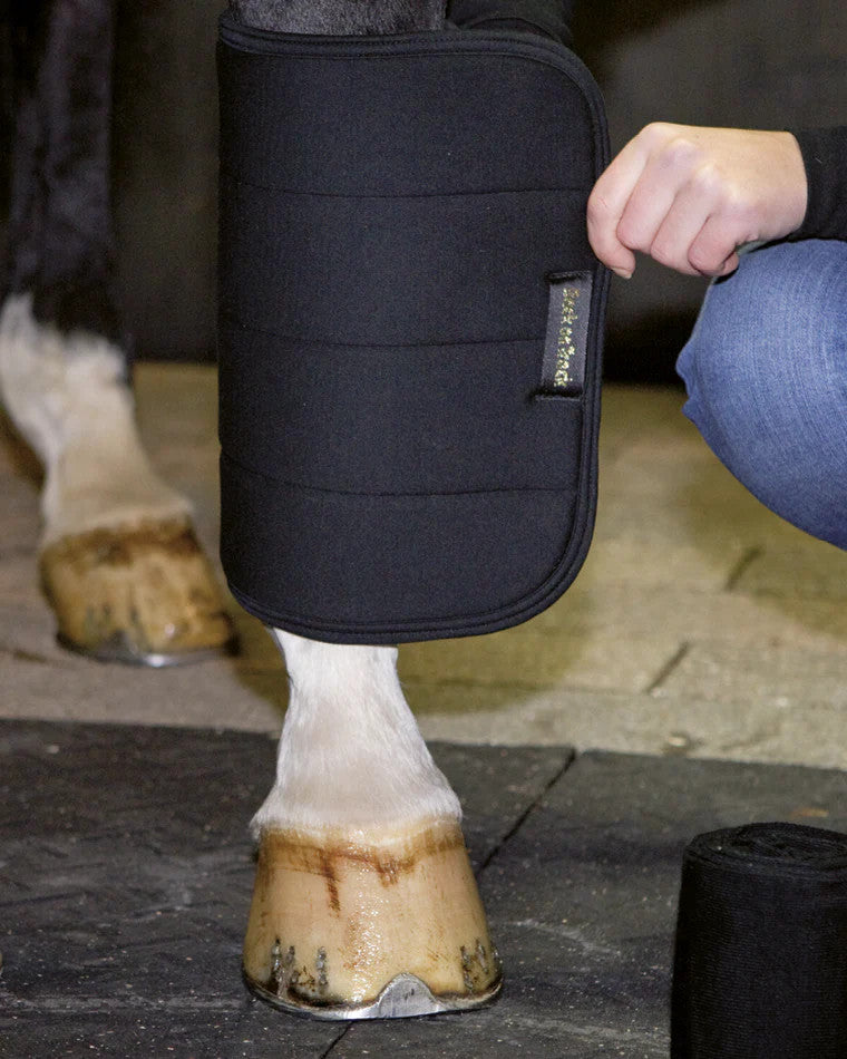 Back on Track No Bow Leg Wraps - supporting