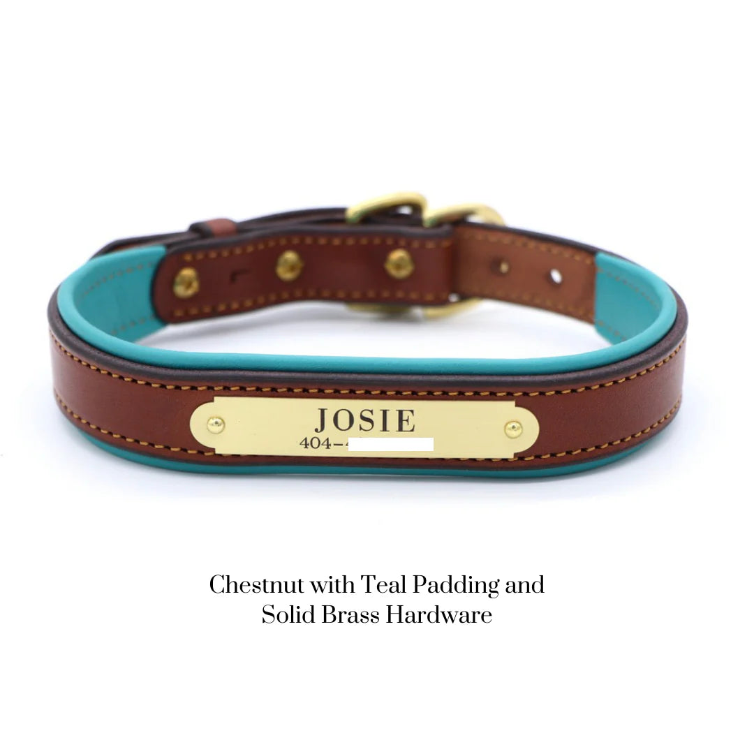 Custom Padded Dog Collar