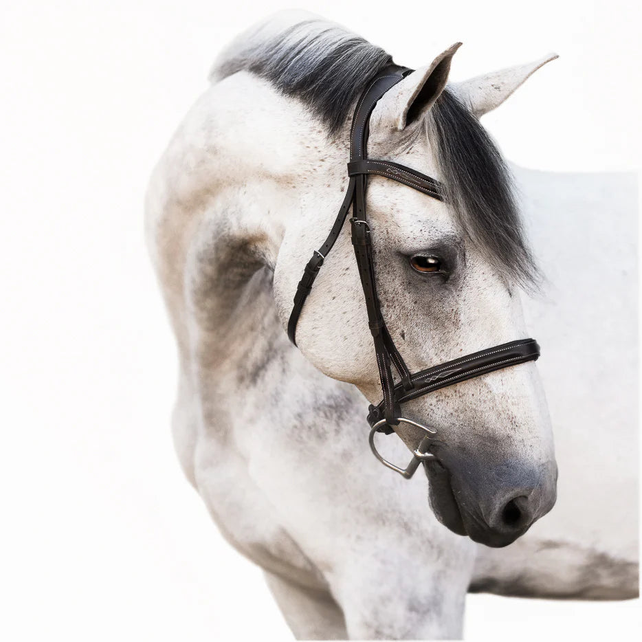Lumiere Milan Leather Bridle