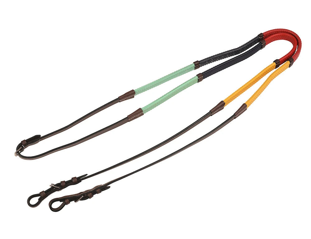 Rainbow Training Reins