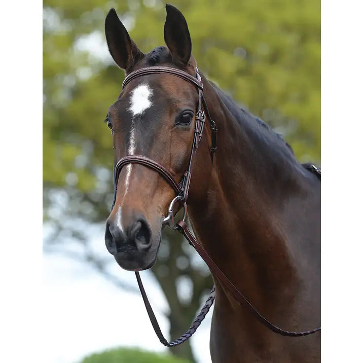 Kincade Raised Fancy Stitched Bridle