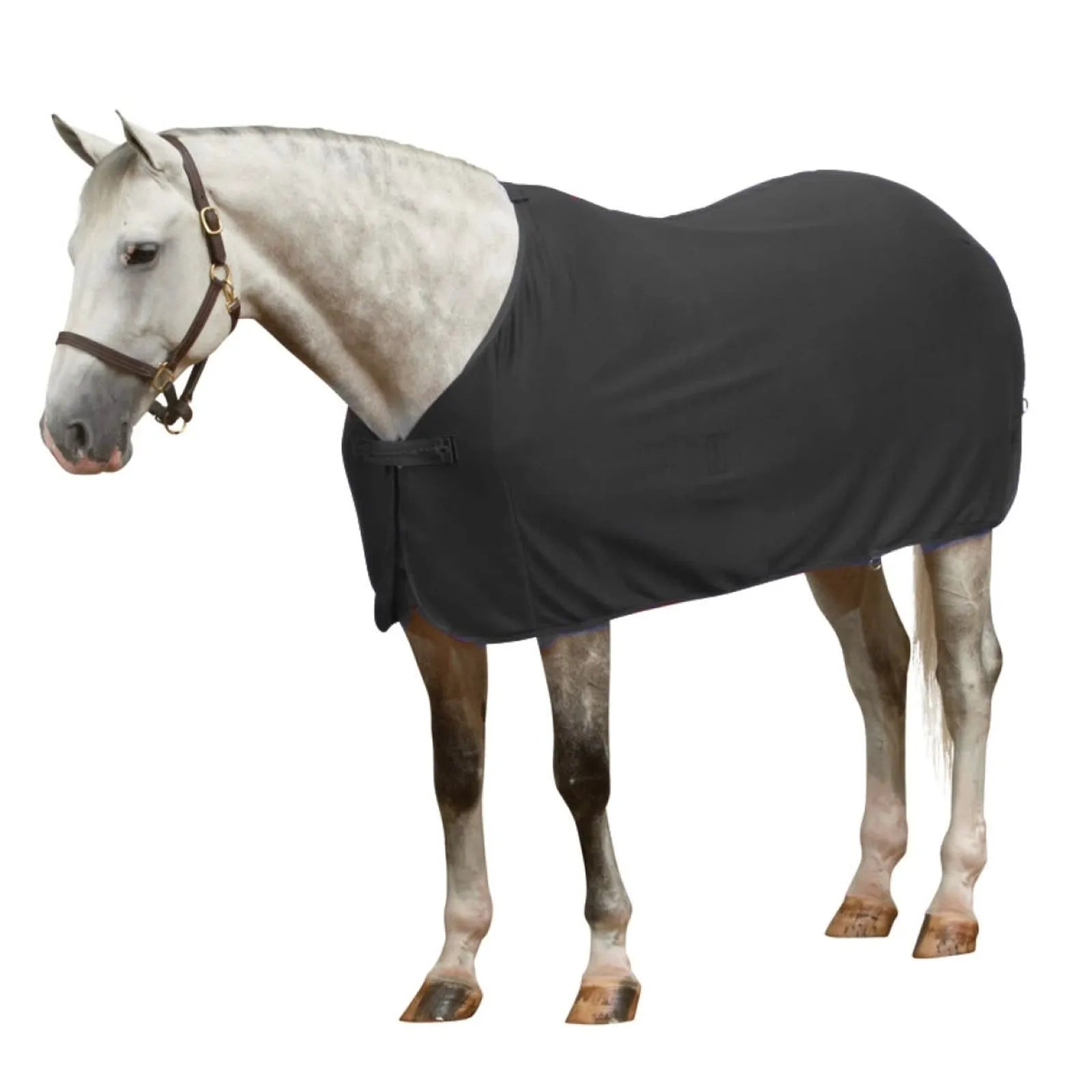 Centaur Turbo Dry Dress Horse Cooler