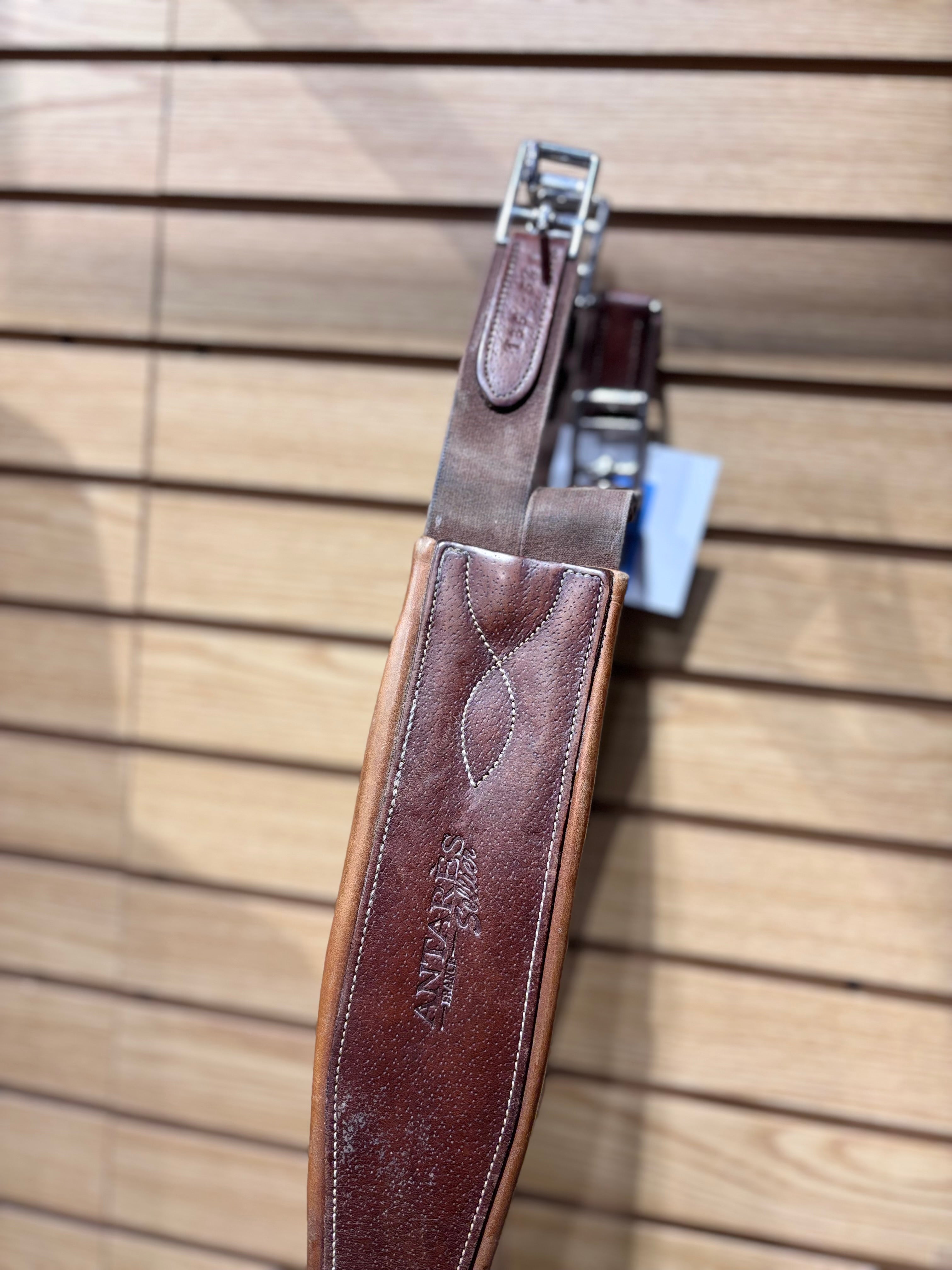 Used 54" Brown Antares Leather Girth