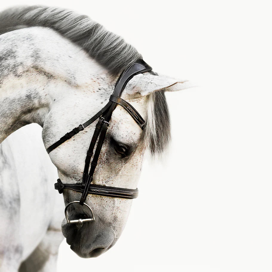 Lumiere Milan Leather Bridle