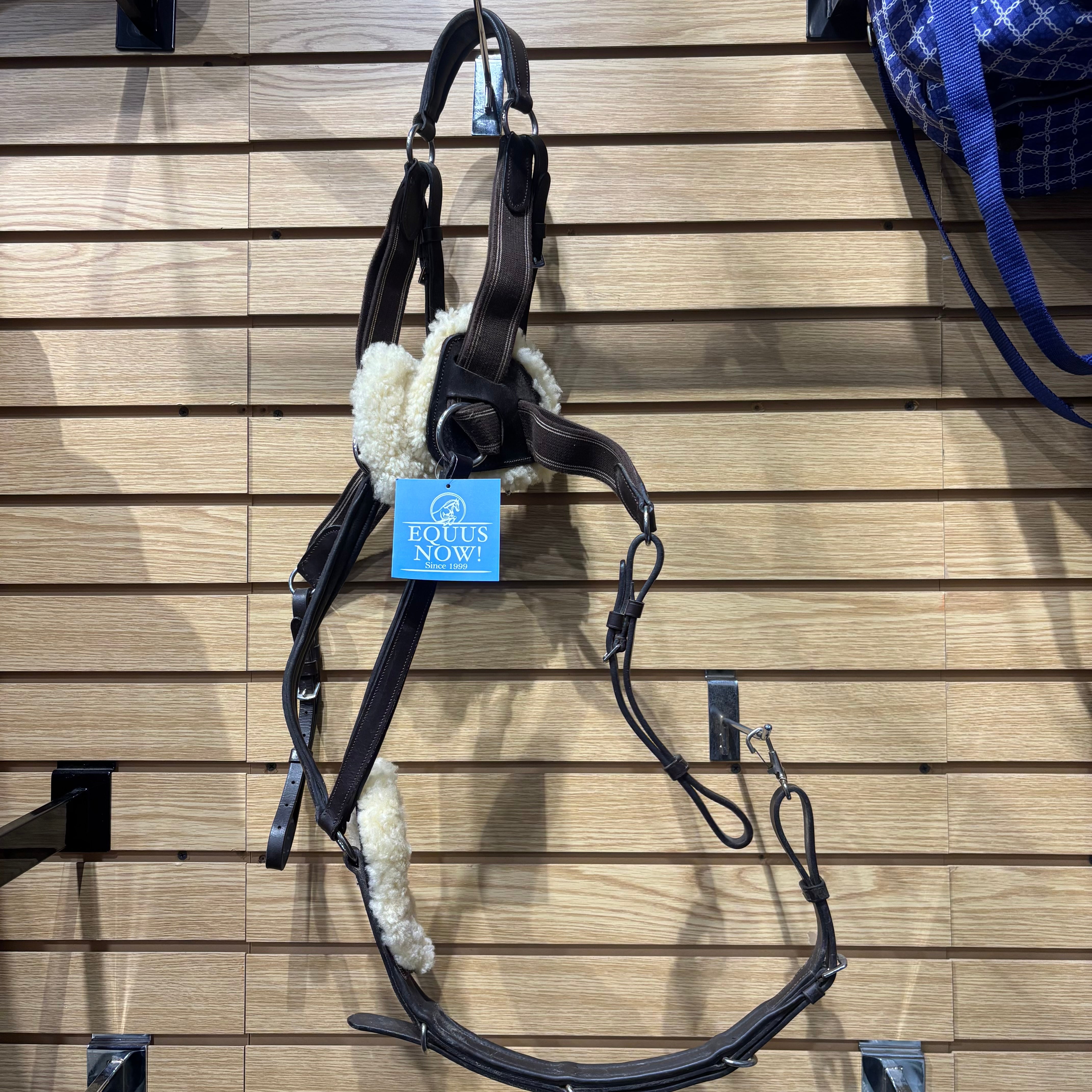 Used Avignon 5 Point Breastplate Cob Brown