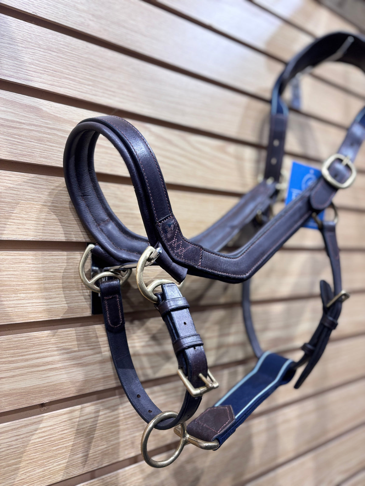 Used "Standard Horse" Brown/Navy Rambo Micklem Leather Halter
