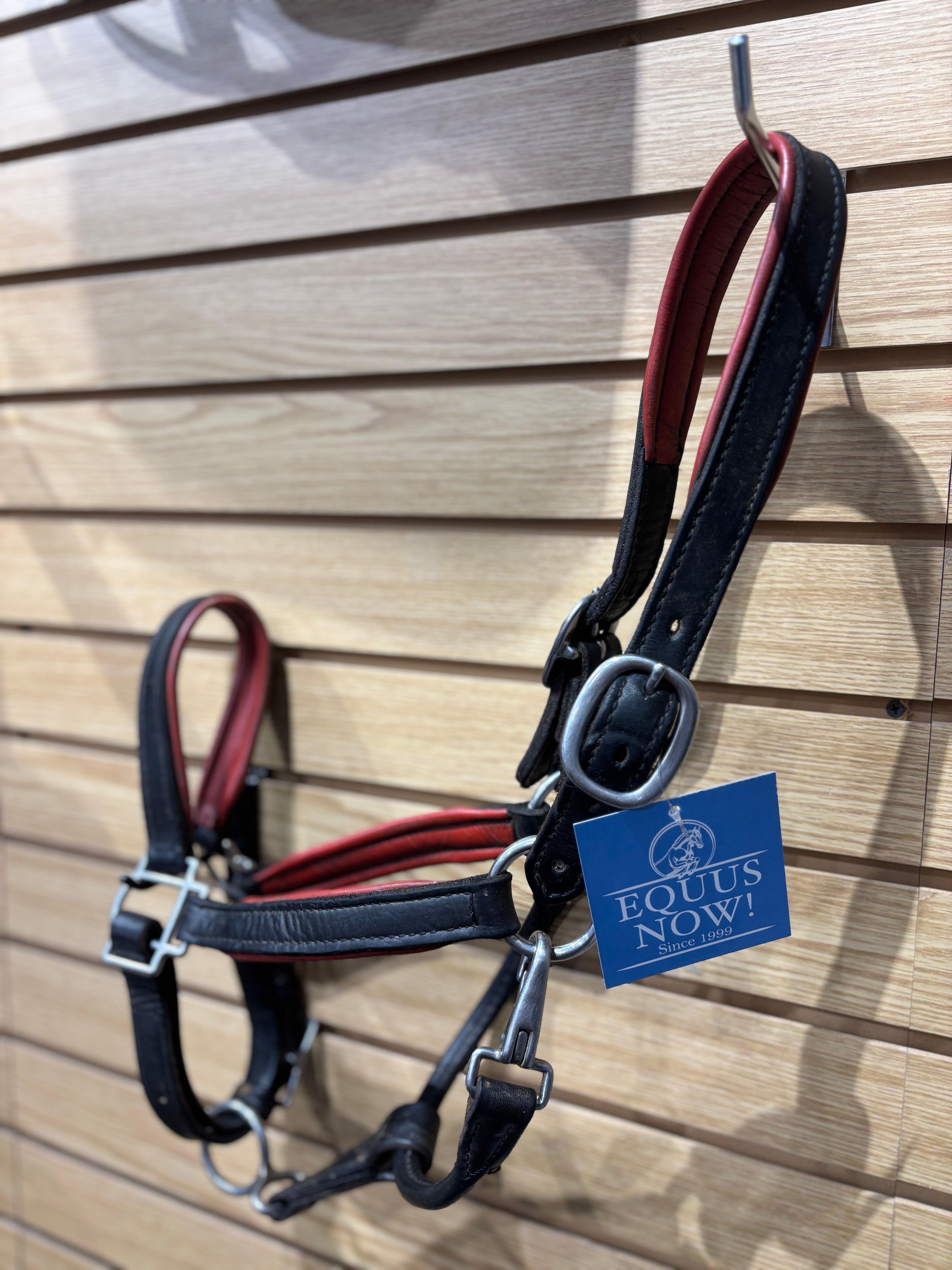 Used Full Black/Red Padded Leather Halter