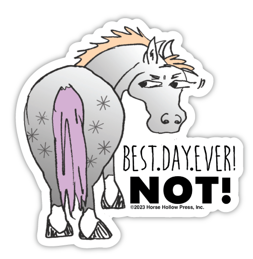 3" Tumbler Horse Sticker / Best Day Ever NOT / WATERPROOF