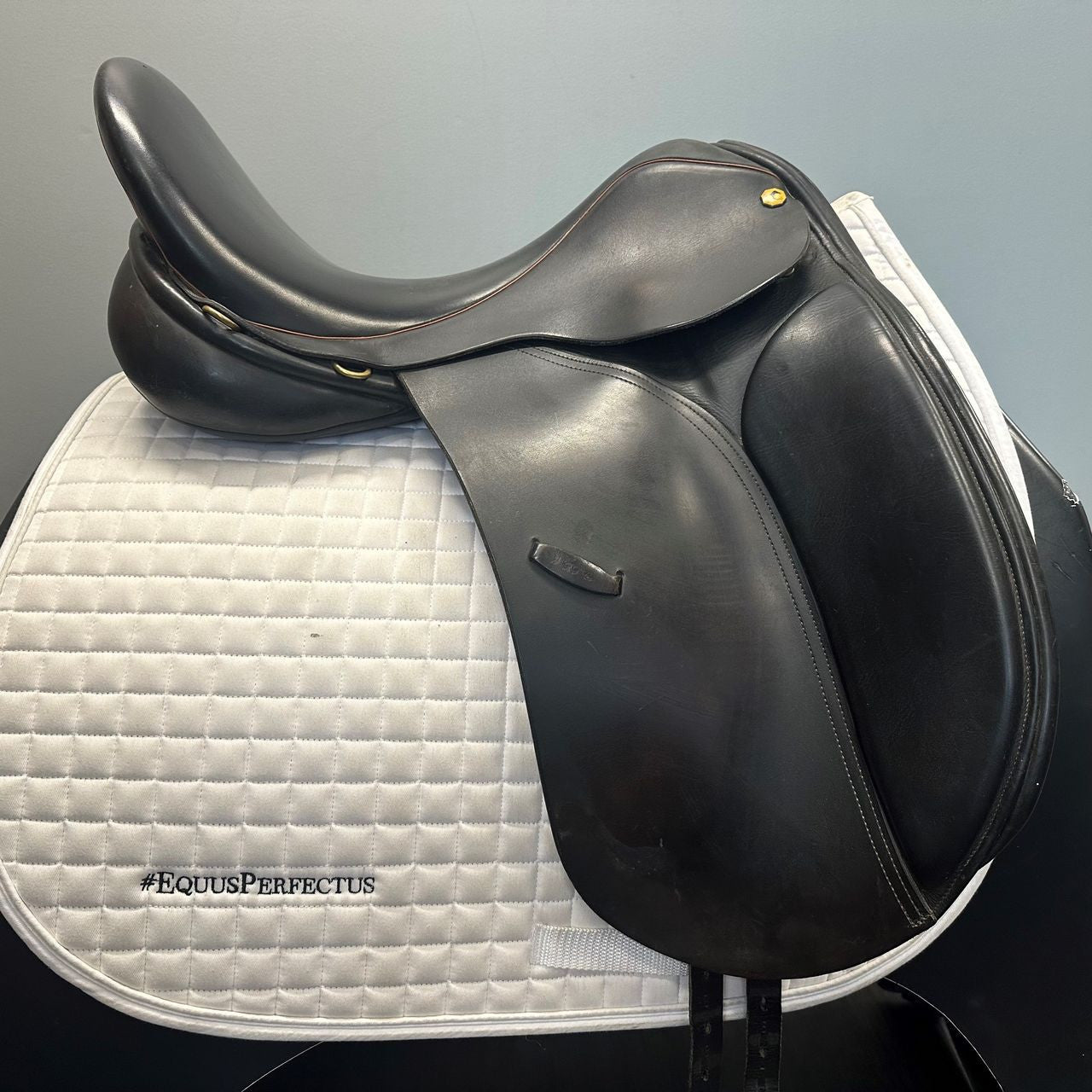 Used Exselle Custom Dressage Saddle 19" Medium Tree - sku to order - 4002954