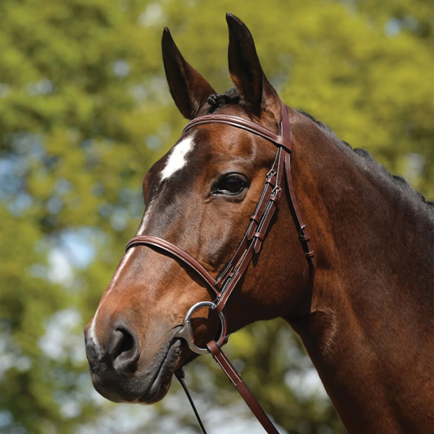 Kincade Raised Fancy Stitched Bridle