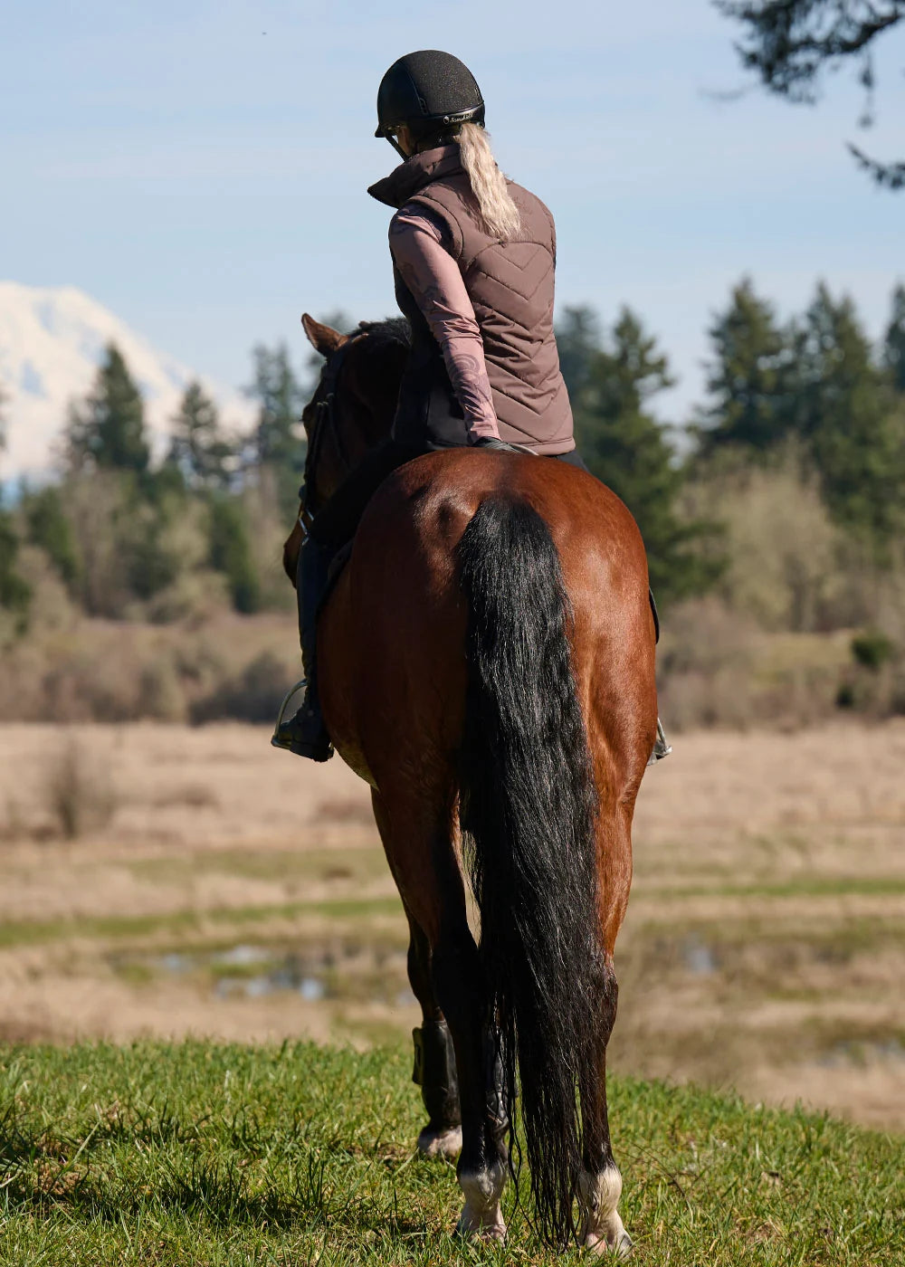 #color_Mocha Giddy Up