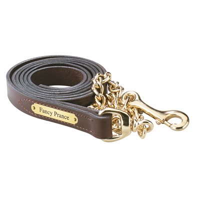 Perri's 1" Leather Lead with Chain with Nameplate