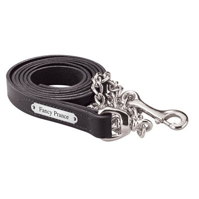 Perri's 1" Leather Lead with Chain with Nameplate