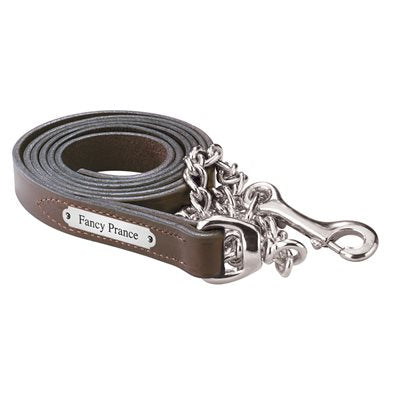 Perri's 1" Leather Lead with Chain with Nameplate