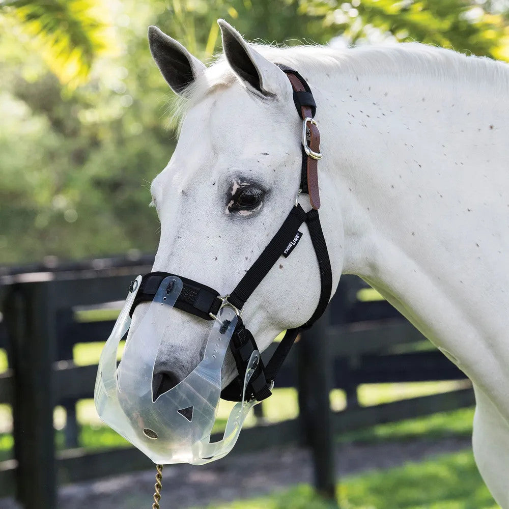 ThinLine Flexible Filly Slow Feed Grazing Muzzle - main