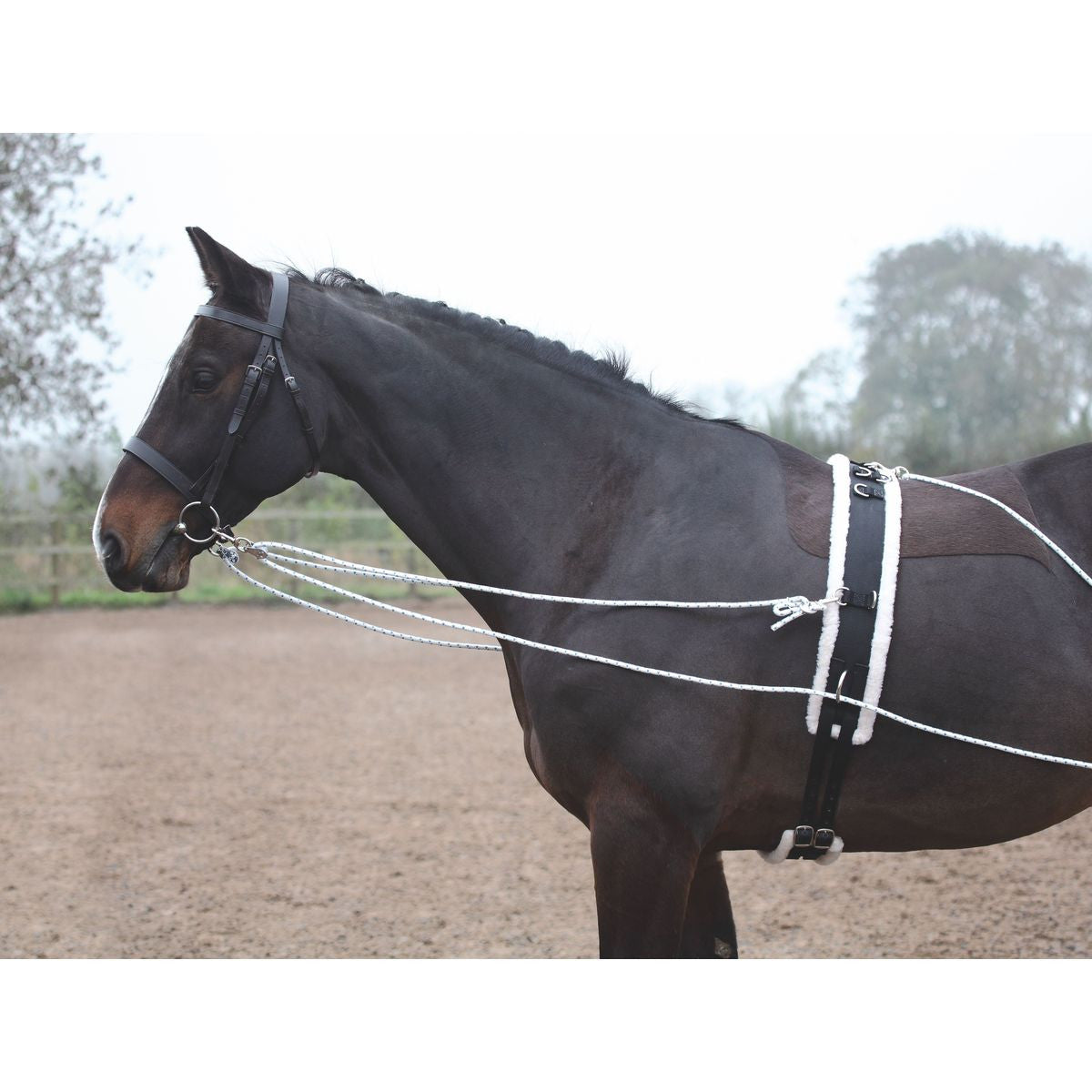 Shires Lunging Aid System - sku to order - 997162