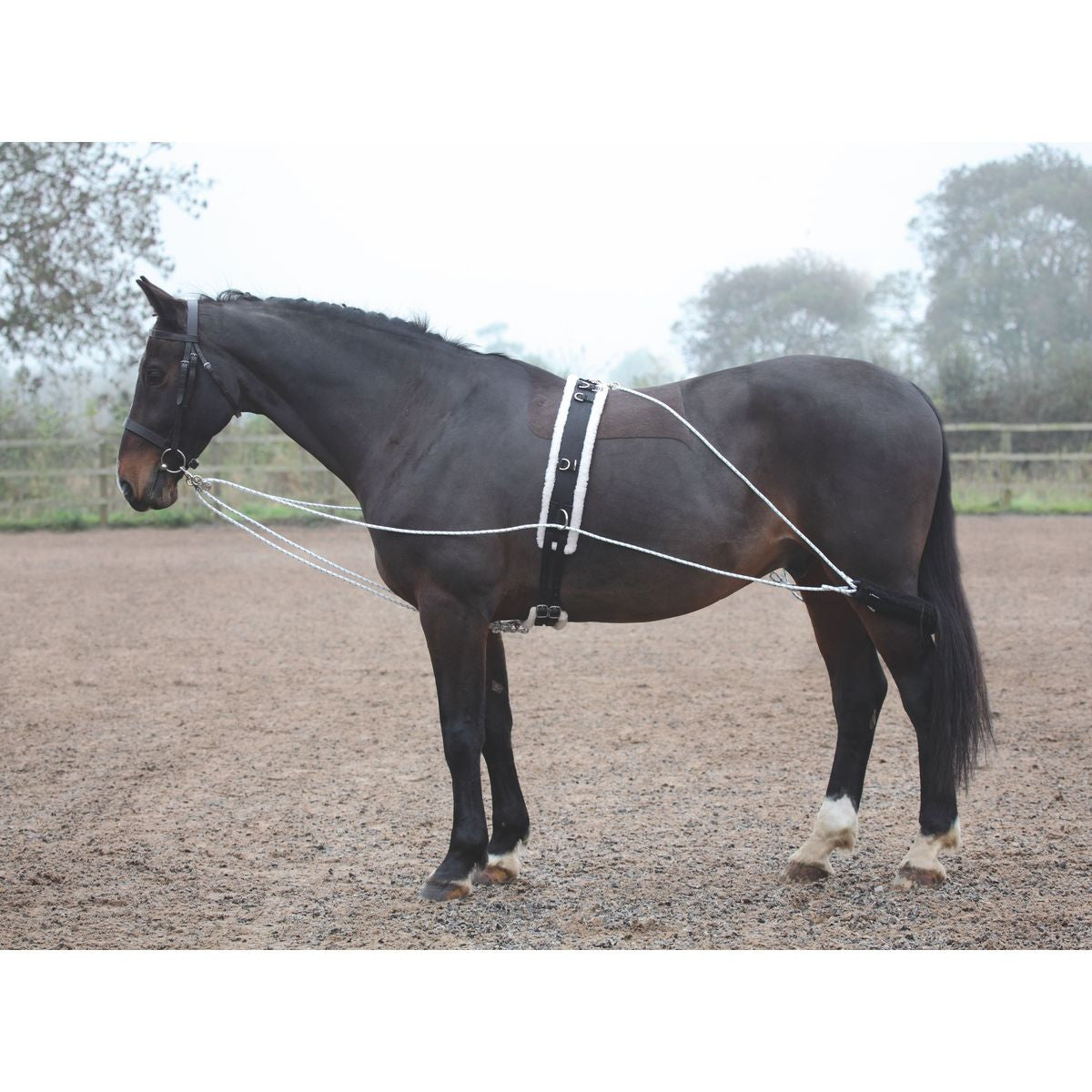 Shires Lunging Aid System - sku to order - 997162