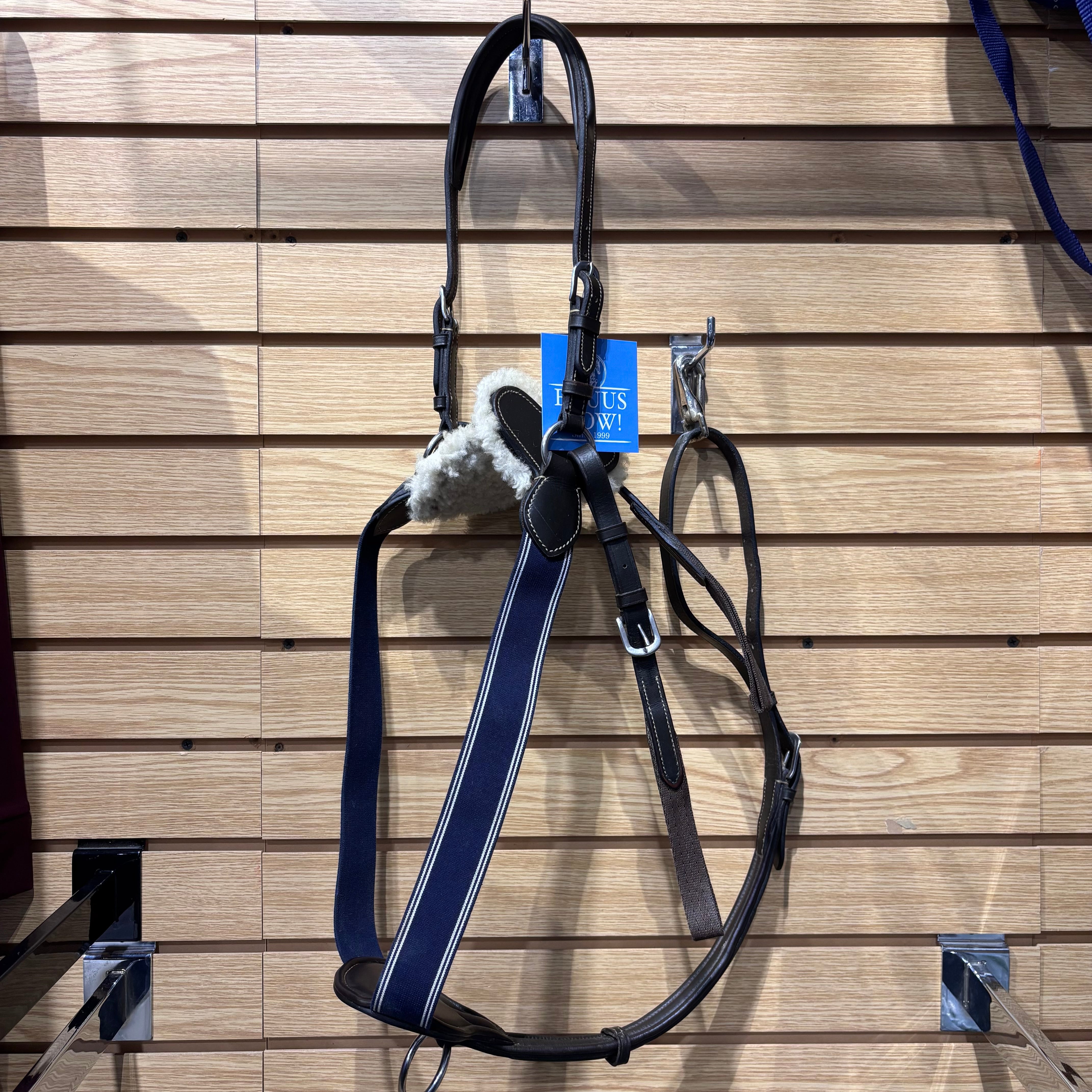 Used Full Brown/Blue 5 Point Breastplate