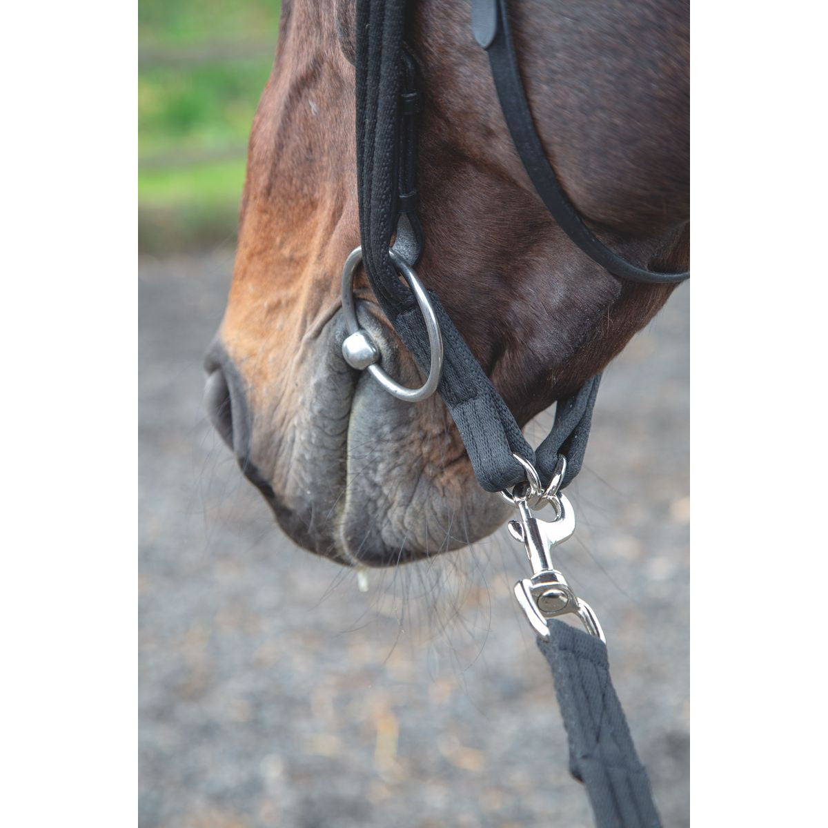 Shires Lunging Adapter - sku to order - 997209