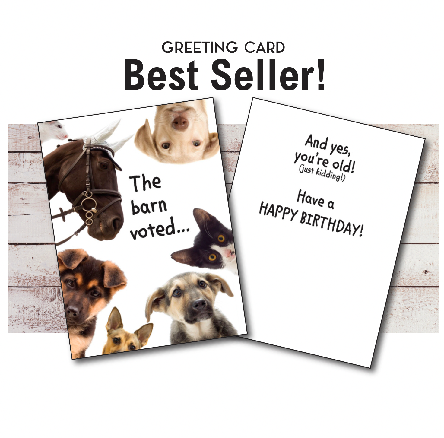 Horse Hollow Press - Horse Greeting Birthday Card