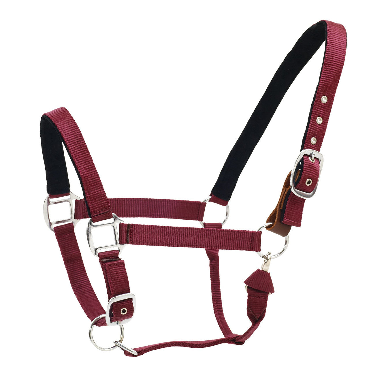 Centaur  Solid Cushion Padded Breakaway Halter - supporting