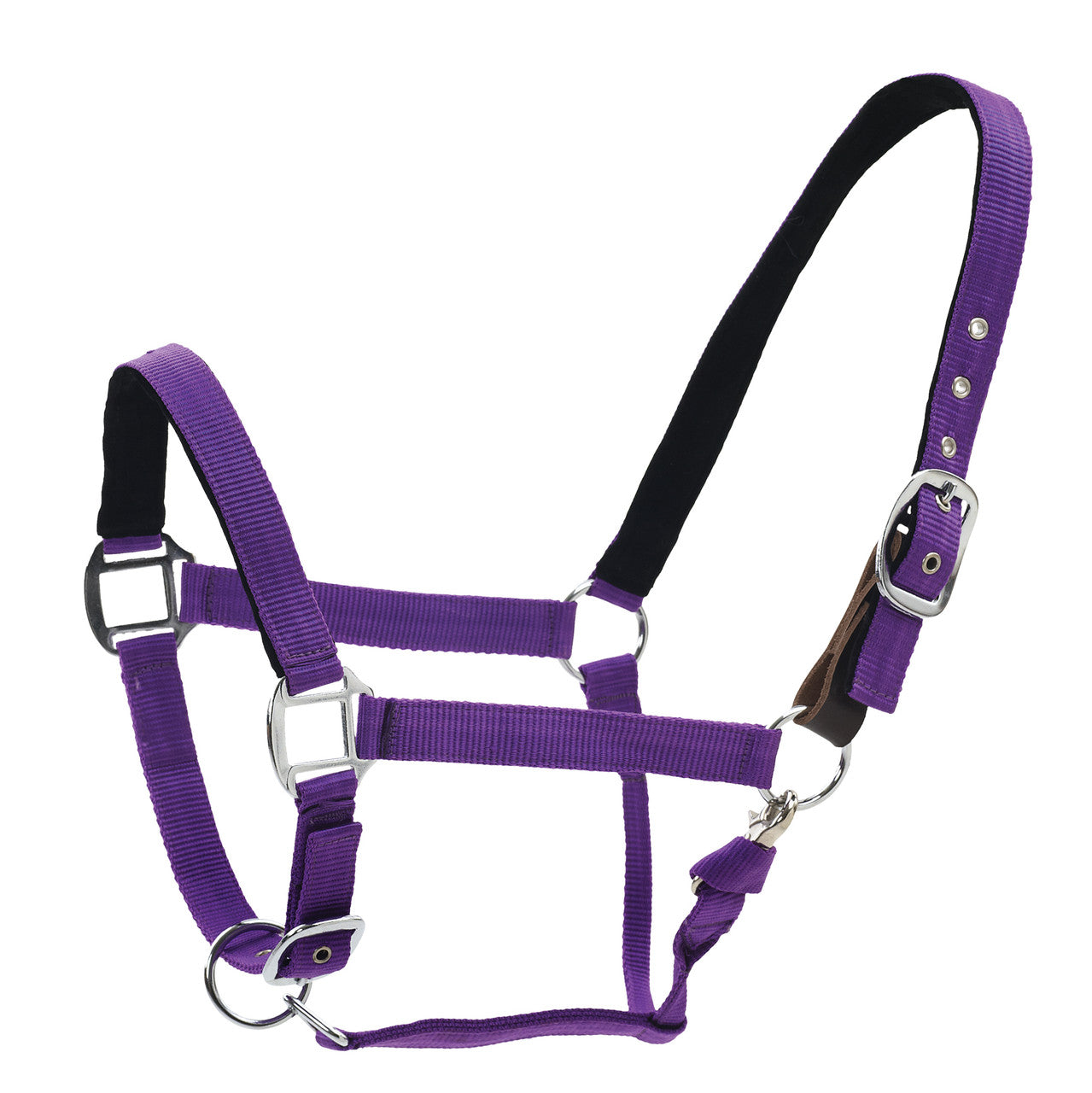 Centaur  Solid Cushion Padded Breakaway Halter - supporting