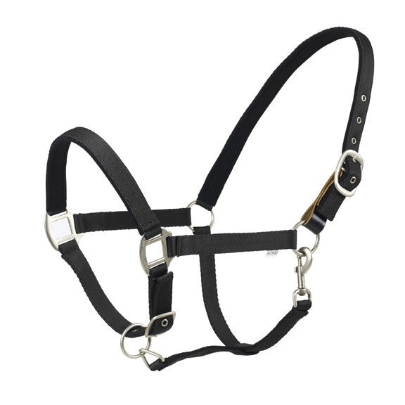 Centaur  Solid Cushion Padded Breakaway Halter - supporting