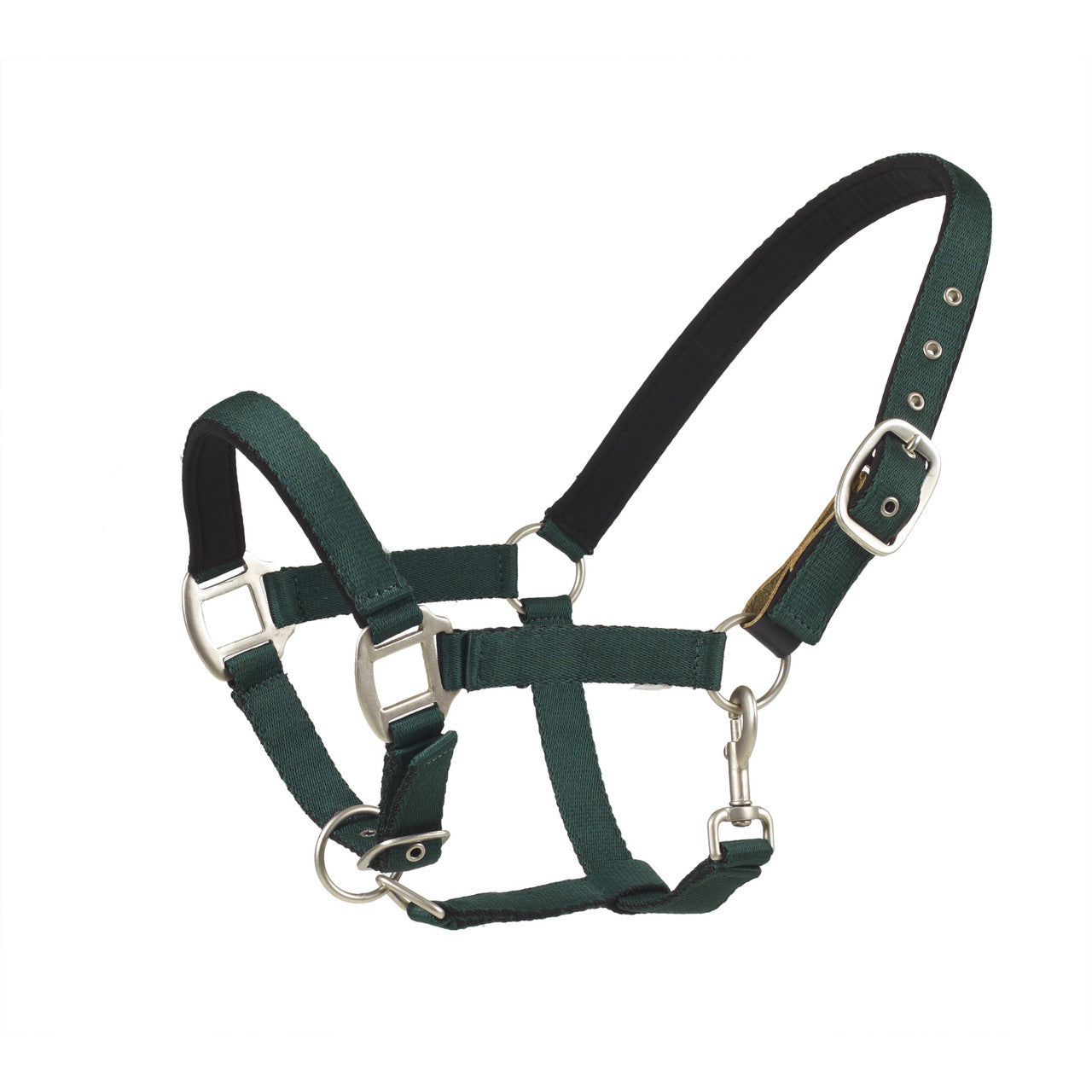 Centaur  Solid Cushion Padded Breakaway Halter - supporting