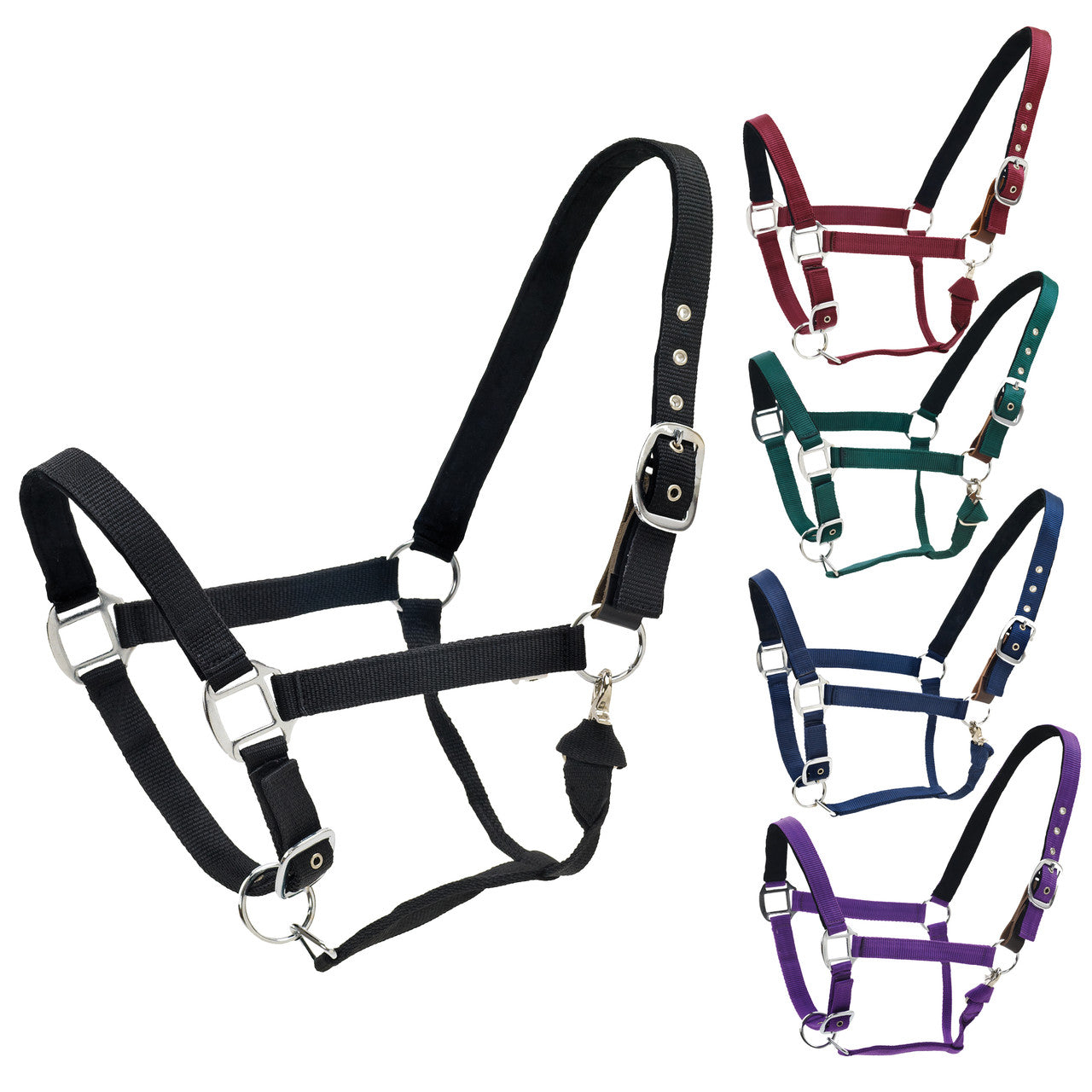 Centaur  Solid Cushion Padded Breakaway Halter - main