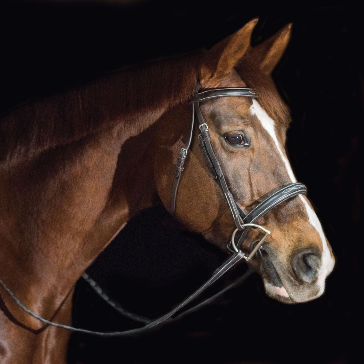 Ovation ATS Padded Fancy Stitched Wide Nose Bridle - sku to order - 69899