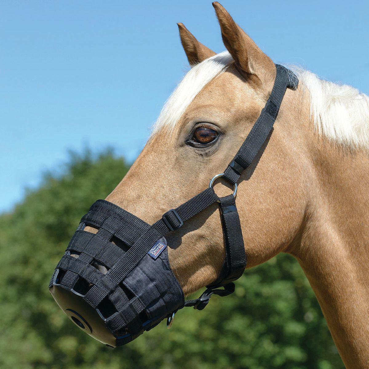 Shires Nylon Grazing Muzzle - supporting