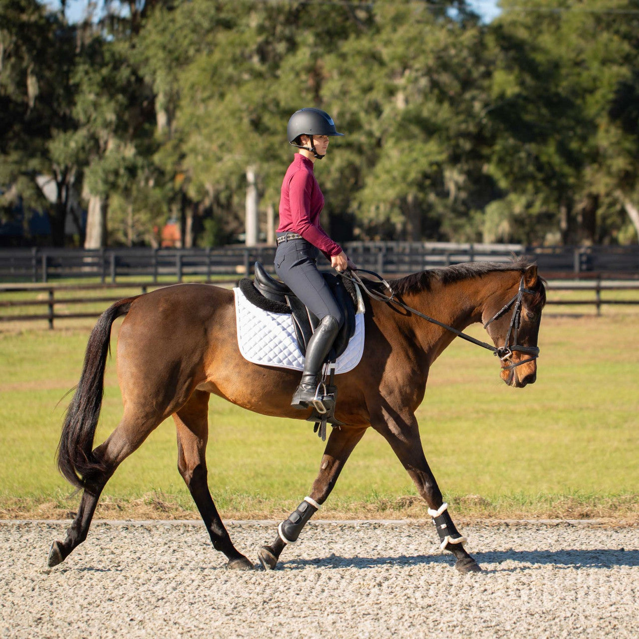 Equinavia Annika Womens Silicone Full Seat Breeches - supporting