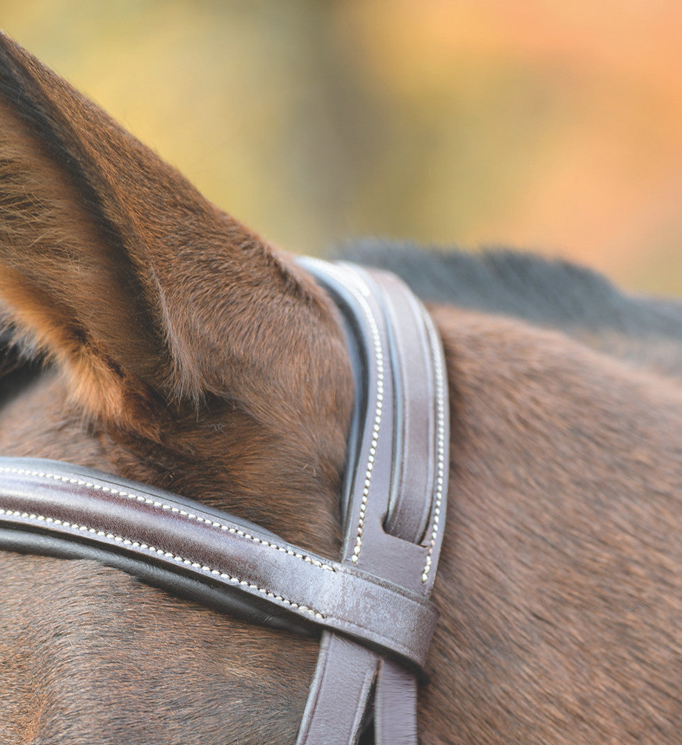 Avignon Nashville Bridle - supporting