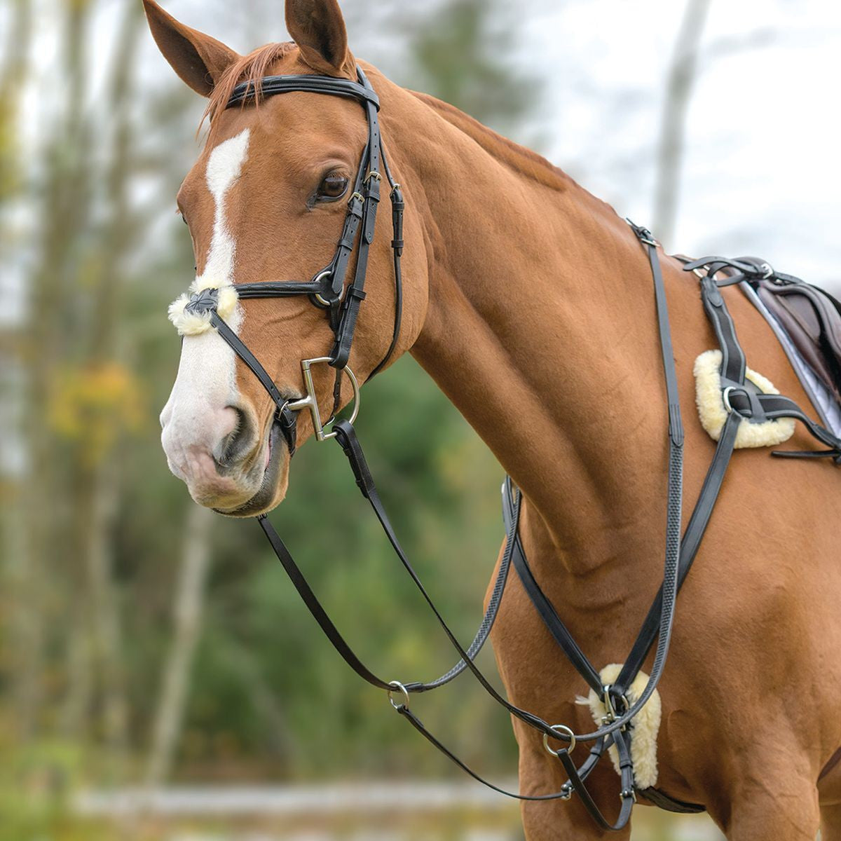 Avignon 5 Point Breastplate - supporting