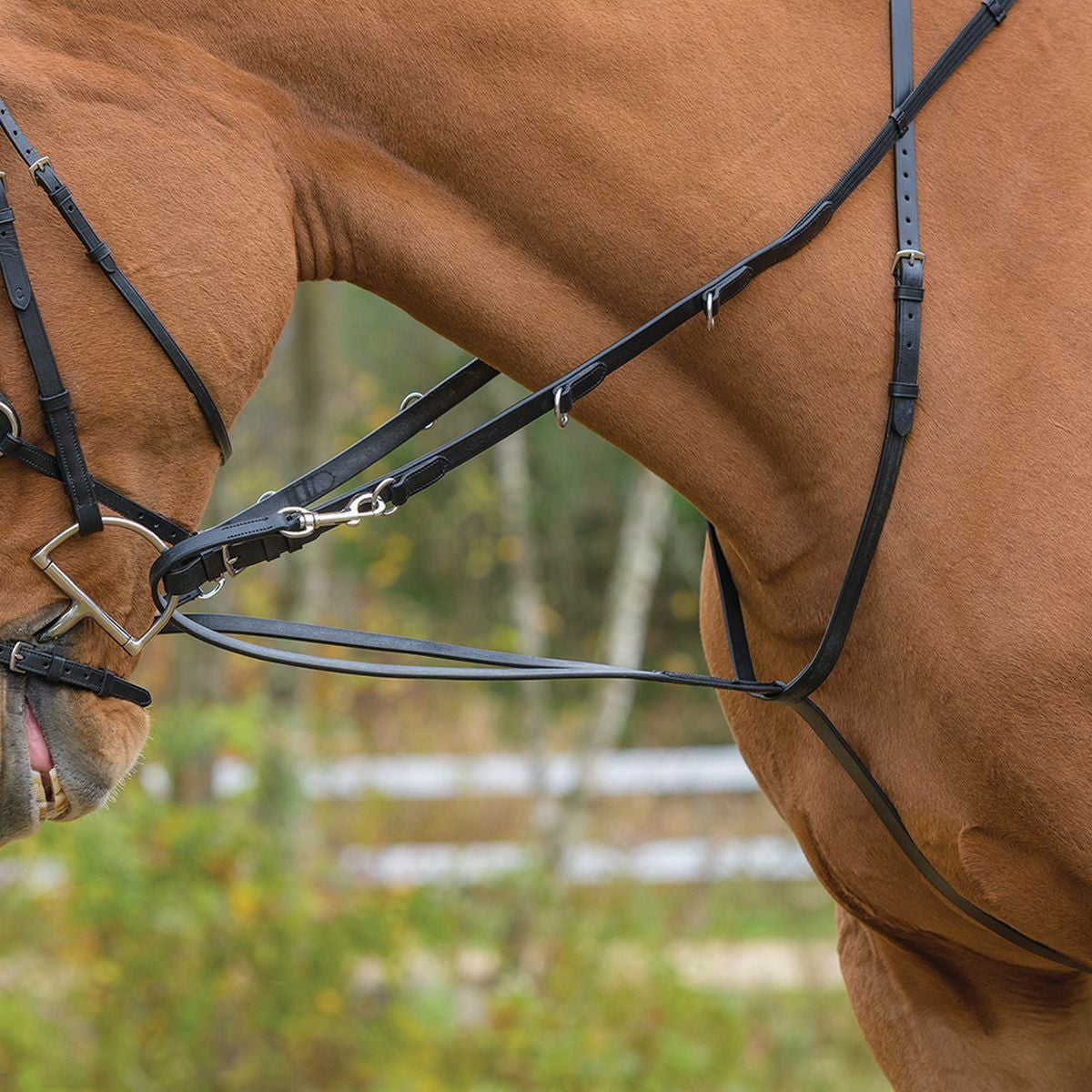 Shires German Martingale - supporting