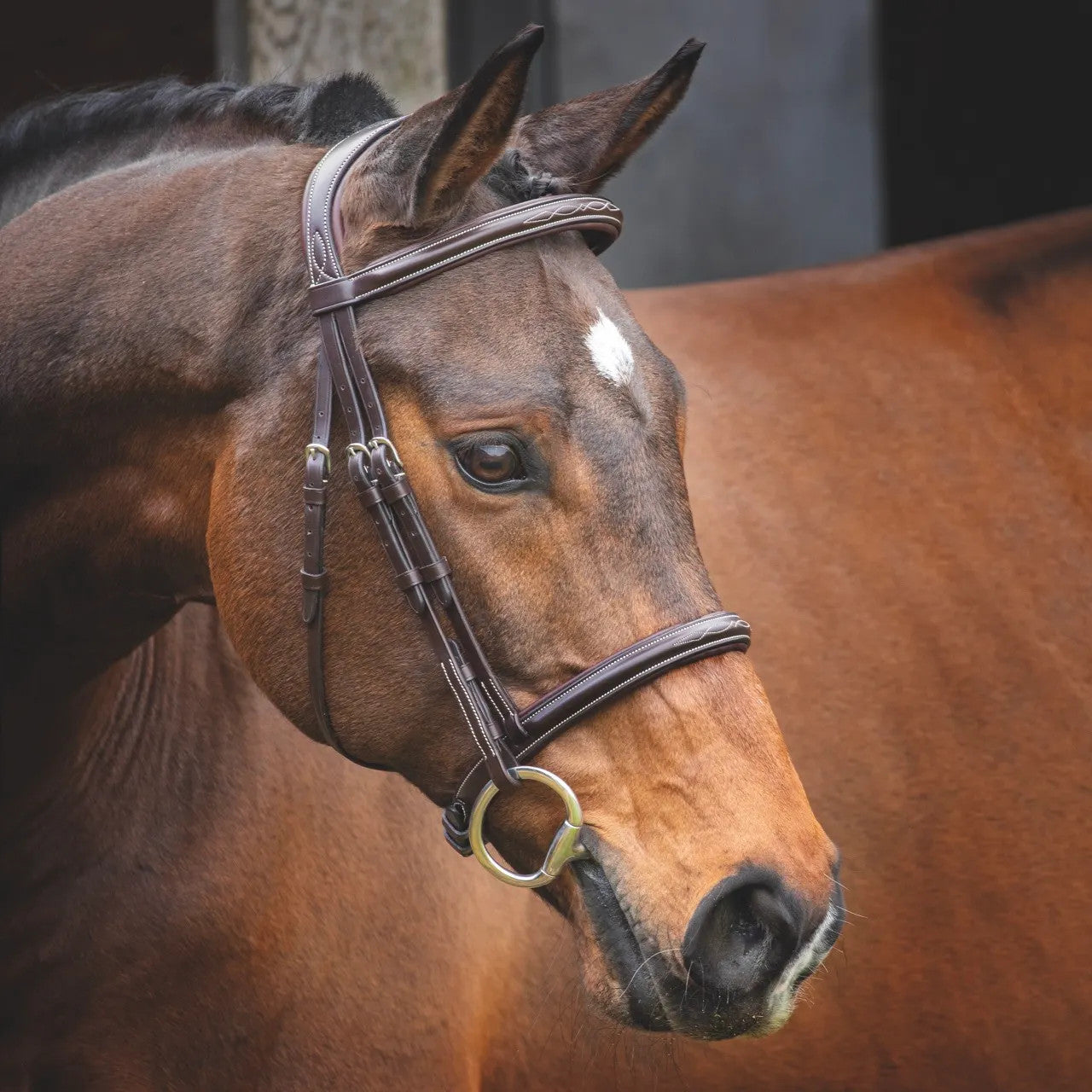 Shires Velociti Lusso Hunter Bridle - main