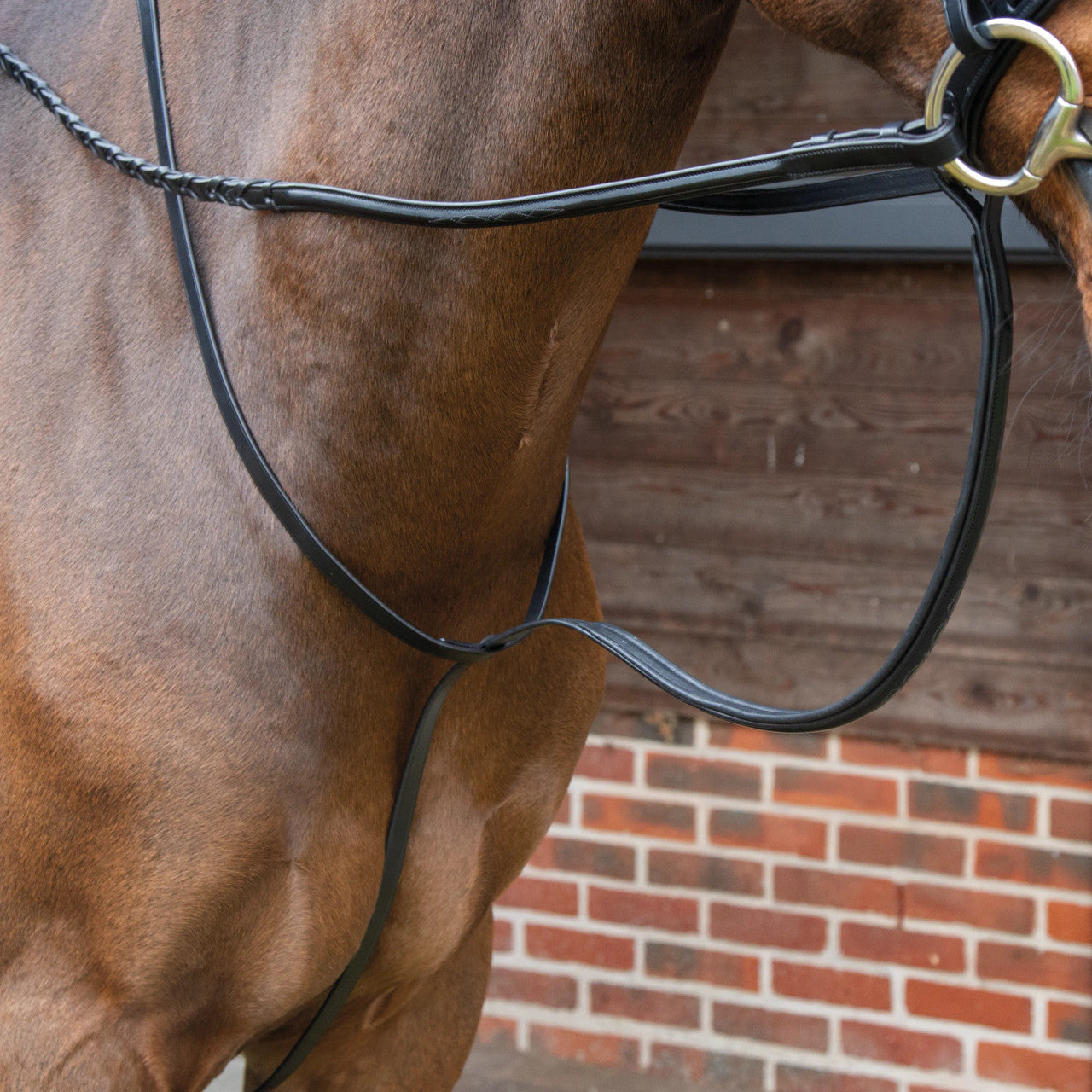 Shires Lusso Standing Martingale - main