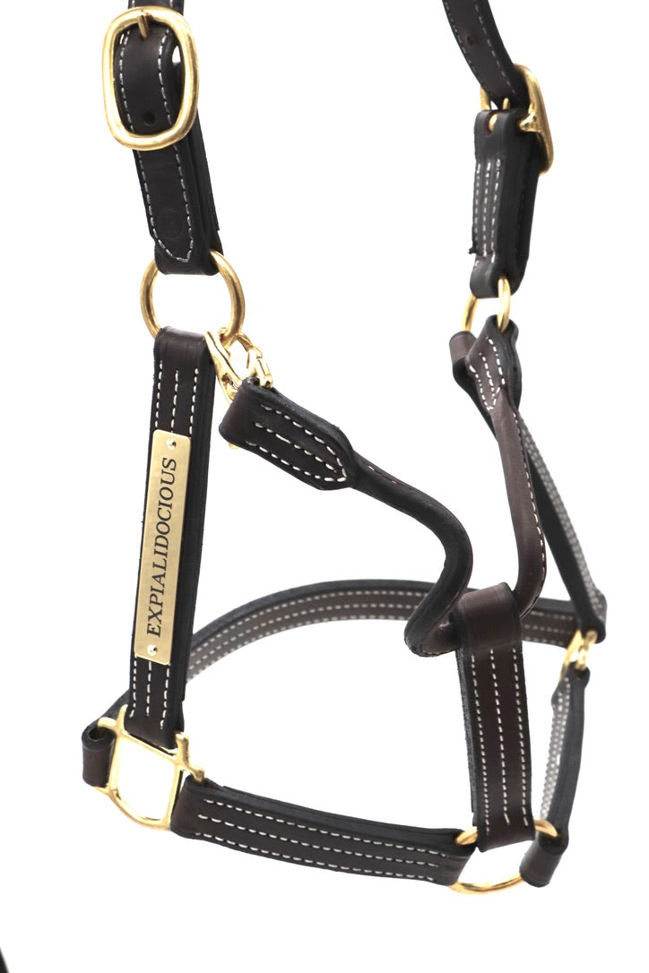 Elegant Halter Nameplate