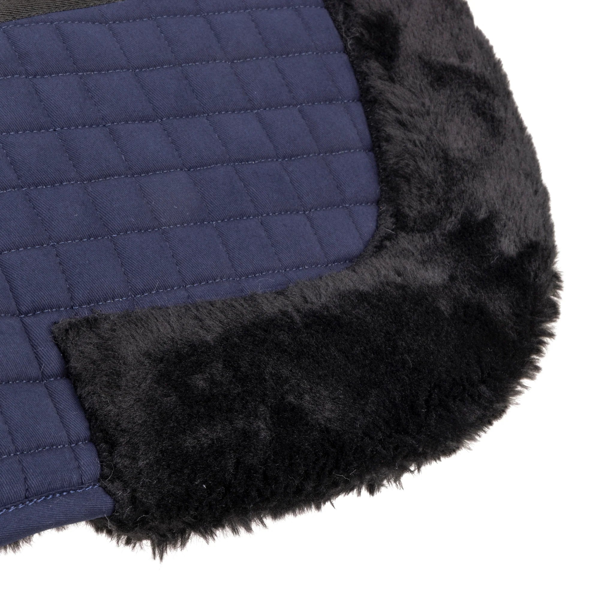 #color_navy/black