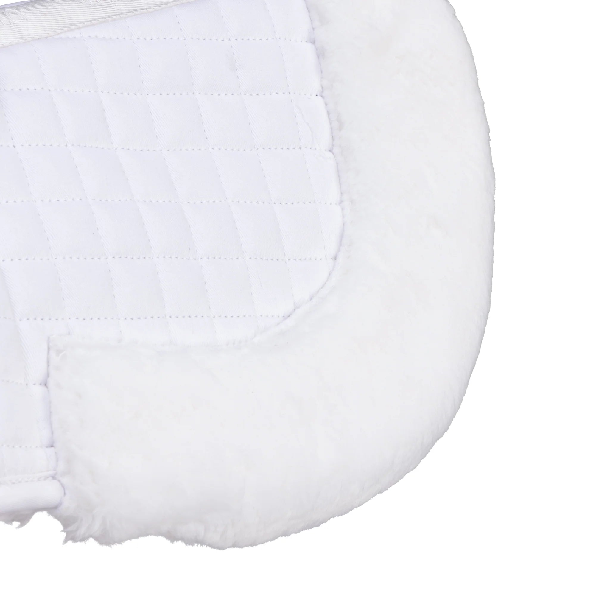 #color_white/white