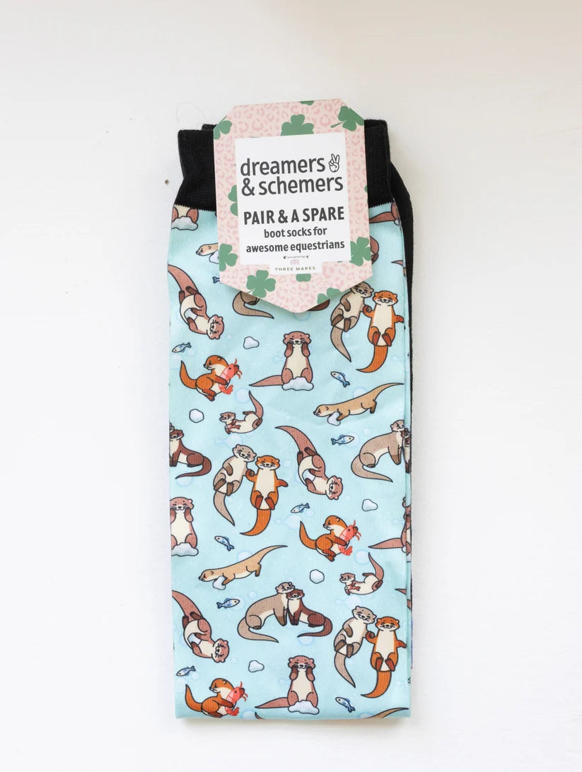 Dreamers & Schemers Pair & A Spare Socks