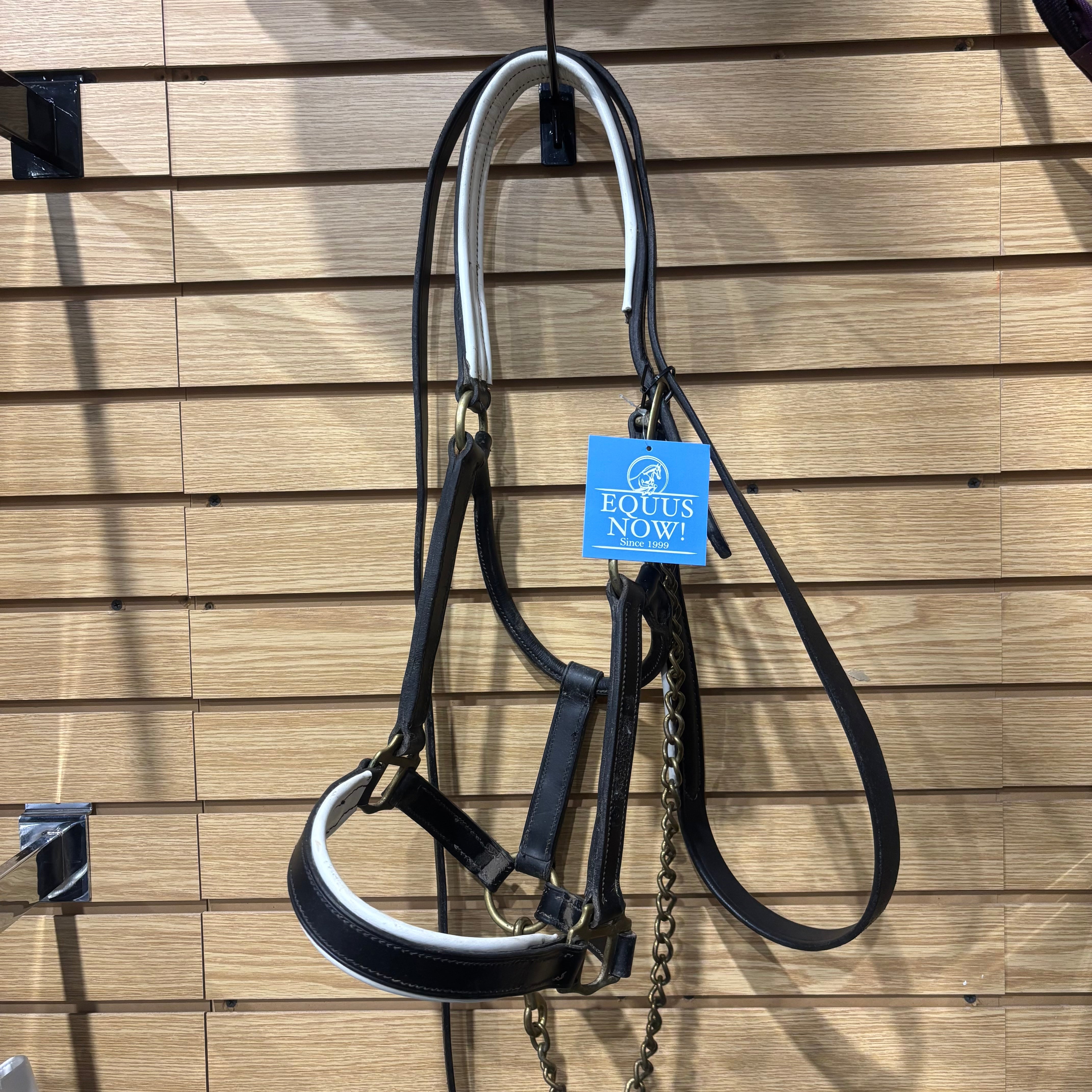 Used Black Leather Halter and Lead