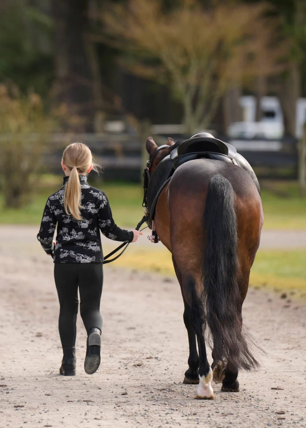 #color_Black Stormy Horse