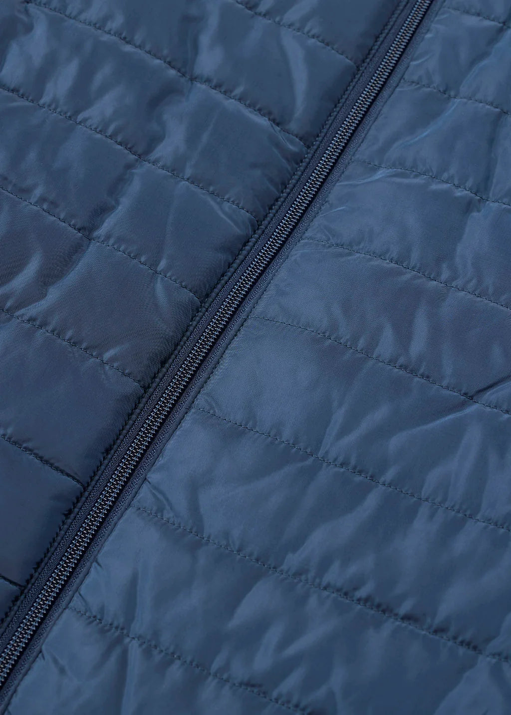 #color_Nightfall/ Jasper Horse