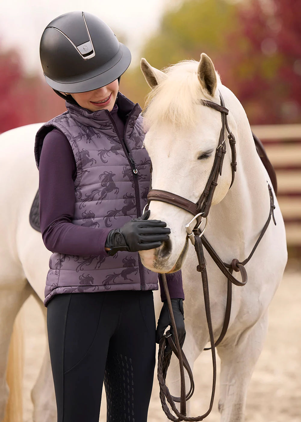 #color_Elderberry/ Thistle Horse