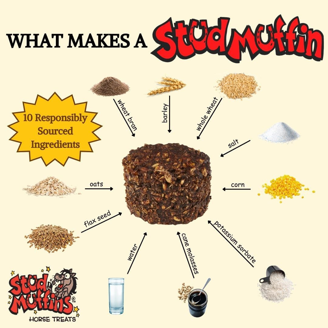 Stud Muffins Original Horse Treat - supporting