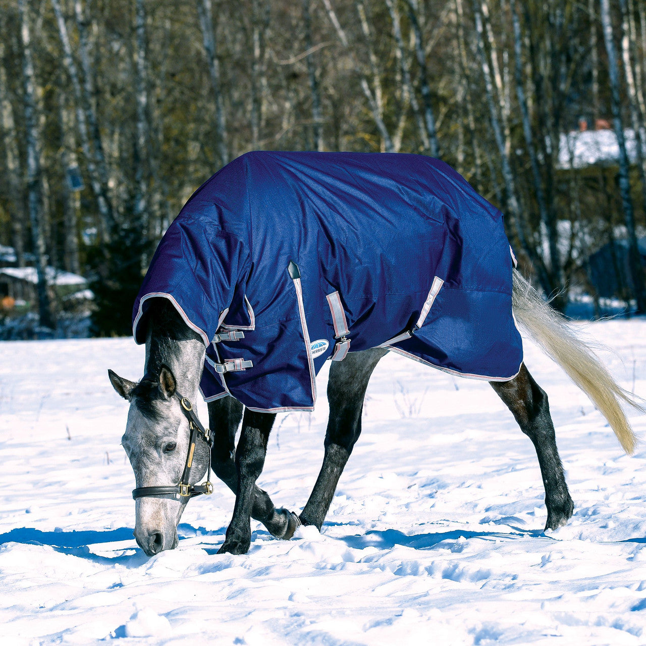 Weatherbeeta Comfitec Essential Combo Turnout Blanket - Heavy 360g - supporting