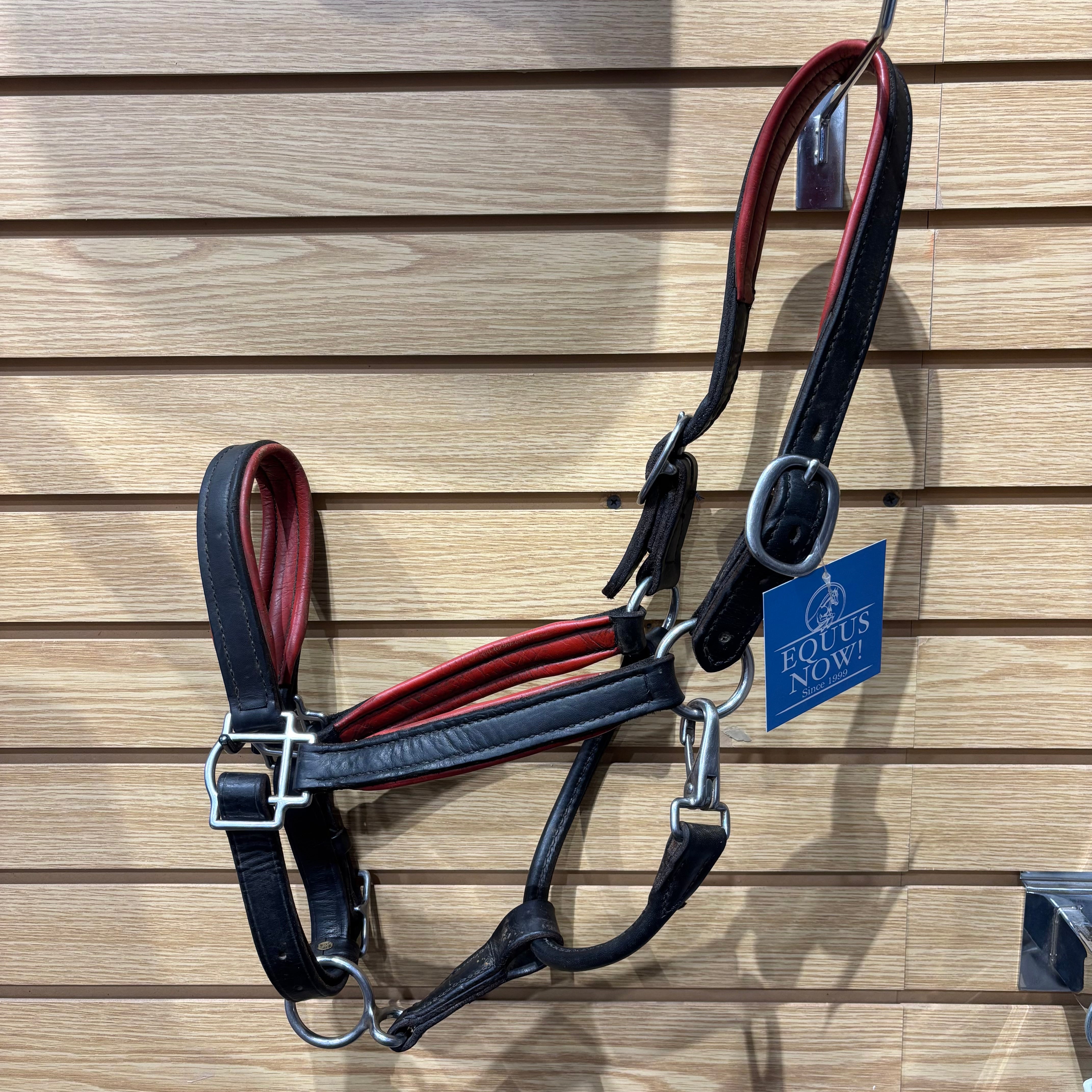 Used Full Black/Red Padded Leather Halter