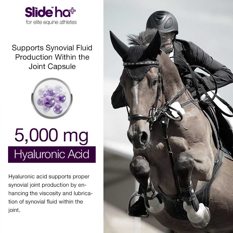 SLIDE™ ha+ Equine Advanced Joint Lubrication