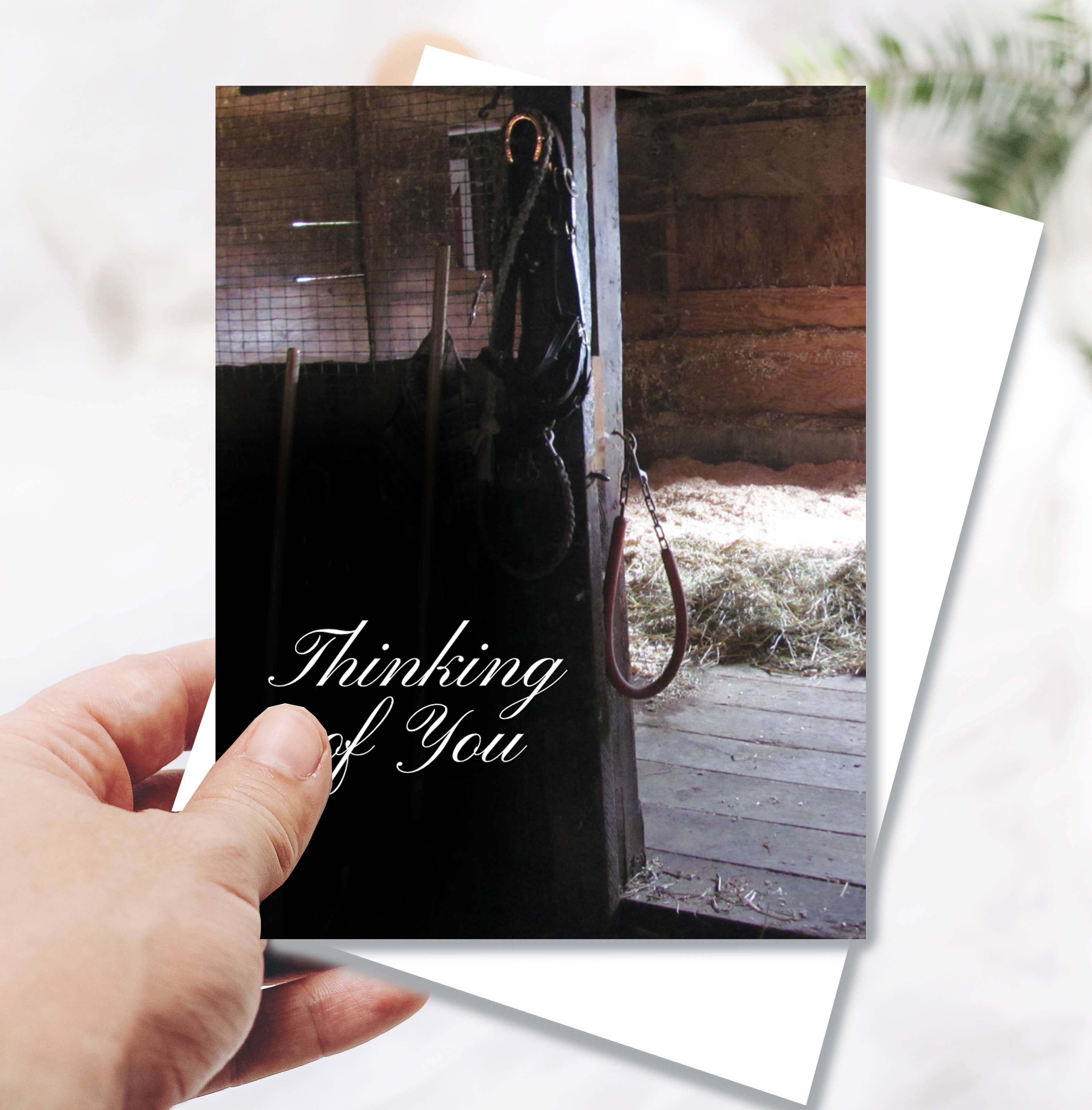 Horse Sympathy Greeting Card / Thinking of You